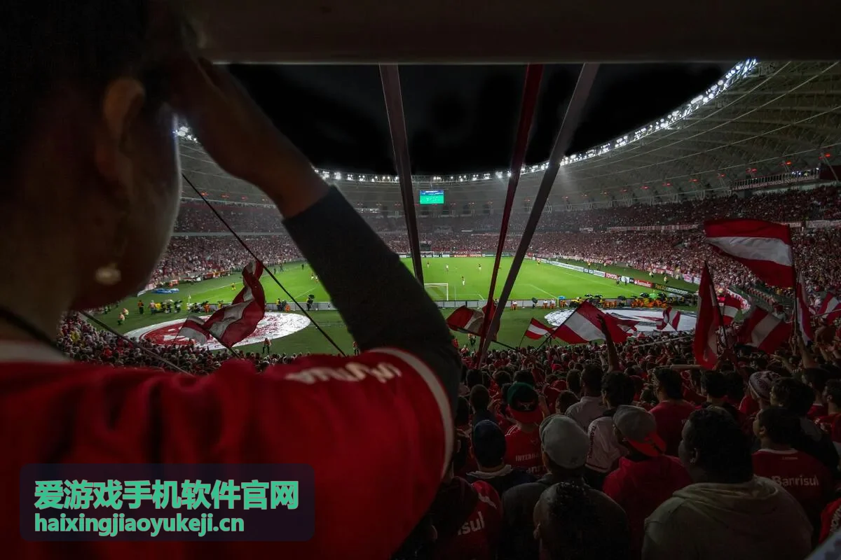 网络联机优化教程封面